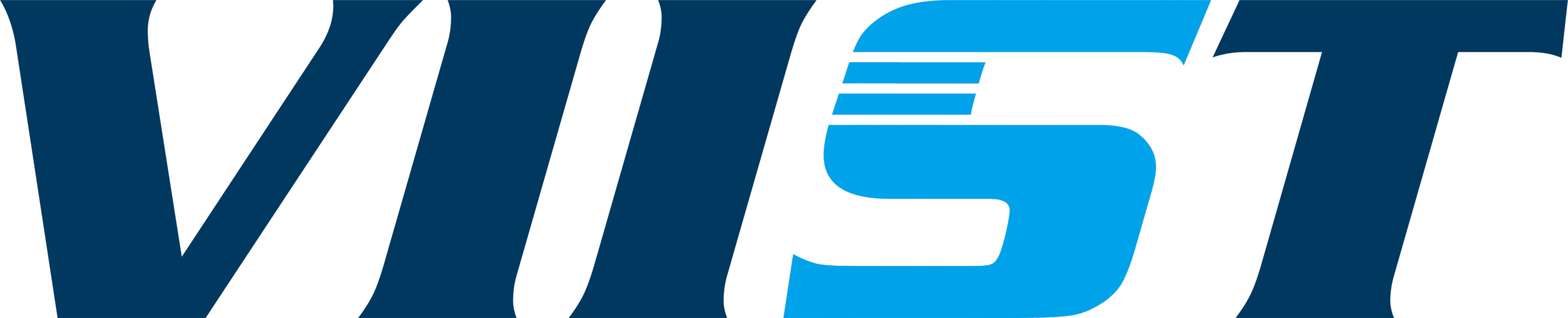 VIIST Logo